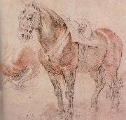 Peter Paul Rubens Horse oil painting reproduction